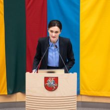 V. Čmilytė-Nielsen skeptiškai vertina iniciatyvą dėl pirmalaikių Seimo rinkimų