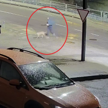 Policija prašo atsiliepti mačiusius, kaip šuo įkando žmogui į ranką