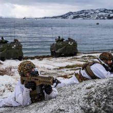 Švedijos ir Norvegijos pareigūnai: per NATO pratybas kariams buvo nuomoti rusams priklausantys namai