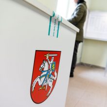 Lietuvoje prasideda Seimo rinkimų politinė kampanija