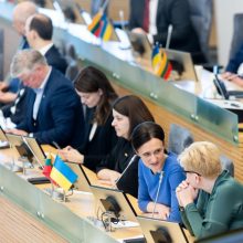 Seimas apsispręs dėl pavasario sesijos darbų programos