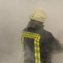 Vilniaus rajone atvira liepsna dega ūkinis pastatas