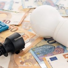 I. Segalovičienė: VERT turi stebėti, ar tiekėjai mažina elektros kainas gyventojams