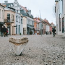 „Kaunas 2022“ uždarymo programoje – Kauno Mitinio Žvėries pėdsakai: kviečia į paslaptingą žaidimą