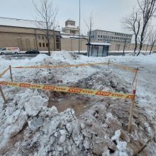 Vilnius miesto savivaldybė siekia dešimtkart padidinti įkainius kertamiems medžiams