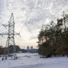„Litgrid“: didmeninė elektros kaina per savaitę Lietuvoje išaugo 13 proc.
