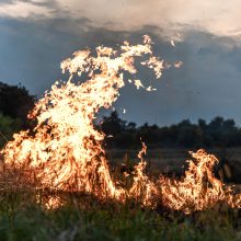 Jonavos rajone – gaisras: išdegė 5 ha miško paklotės, 10 ha pievų bei krūmynų