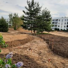 Vilniuje tvarkys Žemaitės skverą, bus įrengtos trys naujos viešosios erdvės