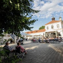 Pažaislio liepų alėjoje nuskambėjo I. Valinskienės koncertas