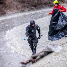 Garliavos parko upelyje aptiktas jame įšalusio nežinomo vyro kūnas 