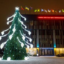 Kauno rajone apsigyveno Kalėdos: Raudondvaryje įžiebta gražuolė eglė!