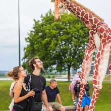 Žirafos atsibeldė iki Kauno pilies