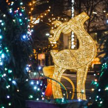 Visame Kaune – magiškas Kalėdų dvelksmas <span style=color:red;>(nuotraukų galerija)</span>