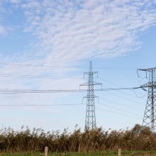 LEA: augant reguliuojamai elektros kainai, nuo sausio 6–16 proc. didėja tiekėjų tarifai
