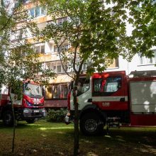 Vilniuje per gaisrą bute žuvo vyras