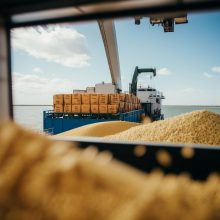Seime – siūlymas laikinai uždrausti rusiškų ir baltarusiškų grūdų importą