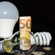Parama elektros kaupikliams: verslas įspėja, kad ji gali būti per maža