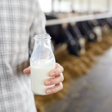 Komitetas: pieno įstatymas artimiausiu metu grįš į Seimo darbotvarkę