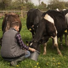Pieno gamintojų atstovas neatmeta naujo protesto galimybės