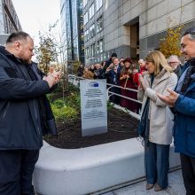 Šlovingoji Ukraina Briuselyje ir Strasbūre jau turi savo vilties simbolį: jo šaknys – lietuviškos 