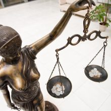 Dukters netekusiai motinai teismas priteisė 30 tūkst. eurų neturtinės žalos