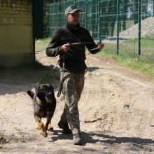 Šunys Ukrainoje gelbės gyvybes: lietuviai moko juos ieškoti minų