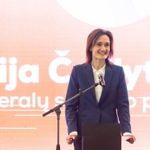 V. Čmilytė-Nielsen partiečiams: pasaulis keičiasi, todėl dabar – mūsų laikas
