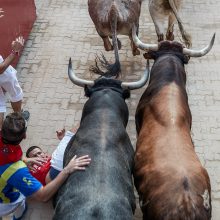 Per San Fermino festivalį Ispanijoje buliai subadė iš viso penkis žmones