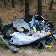 Miško teršėją nustatė dėl atliekose rastų dokumentų: teks susimokėti nemenką baudą