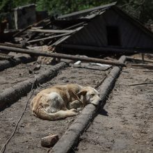 Karas: tęsiasi aršios kovos dėl Severodonecko, dingo elektra ir vanduo