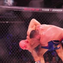 J. Anglickas MMA turnyre kovėsi garbingai, bet išliejo ir nemažai kraujo