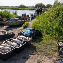 Nuostoliai: Oderyje renkamo nuo maro nugaišusios žuvys.