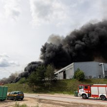 Aplinkosaugininkė: po gaisro atliekų tvarkymo įmonėje Vilniaus oro kokybė jau gera