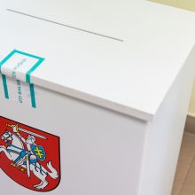 VRK planuoja patvirtinti apygardų ribas kitų metų Seimo rinkimams