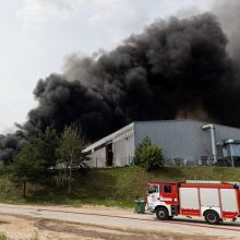 Seimas imasi pataisų dėl priešgaisrinės saugos ir taršos prevencijos