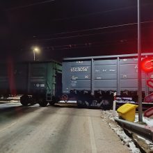 Siaubas Baisogaloje: traukinys mirtinai sužalojo ant bėgių sėdėjusią moterį