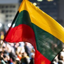 JAV tyrimų grupė: nepaisant iššūkių, demokratijos padėtis Lietuvoje išliko stabili