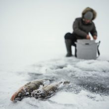 Dėl ant ledo lipančių žvejų – patarimas: užkraukite vyrą elementariais namų ruošos darbais