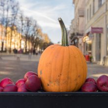 Laisvės alėjoje – Helovino dvelksmas: praeivius žavi moliūgų kompozicijos