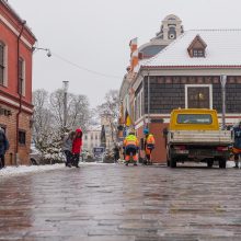 Vilniaus gatvė: ar ne per anksti liejasi kritika?