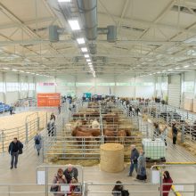 Žemės ūkio parodoje – ir reti gyvūnai, ir ekologijos dvelksmas