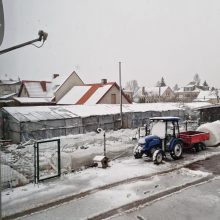 Gegužę dalyje Lietuvos – baltas peizažas: pridrėbė sniego kaip žiemą