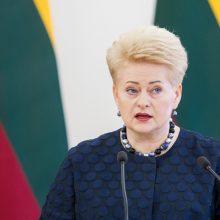 A. Merkel negailėjo komplimentų nei D. Grybauskaitei, nei lietuviams