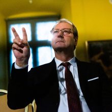 G. Landsbergis rinkimus vadina kuklia konservatorių pergale