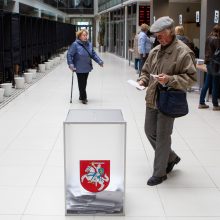 D. Henke: dvigubos pilietybės referendumas – Lietuvos ateities klausimas