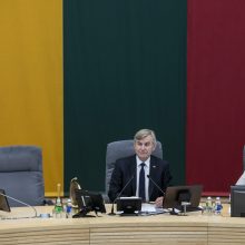 Seimas įtvirtino įstatymu: Vytis bus pagrindinis Lukiškių aikštės akcentas