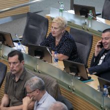 Seimas įtvirtino įstatymu: Vytis bus pagrindinis Lukiškių aikštės akcentas