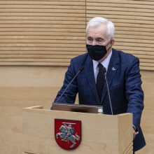 Seime balsų užteko: Lietuvos premjerė – I. Šimonytė