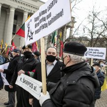 Prie Seimo – vėl mitingas: reikalauja nutraukti A. Jakubausko persekiojimą