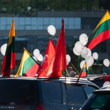 V. Čmilytė-Nielsen apie mitingą prie Seimo: visos pilietinės pozicijos sveikintinos